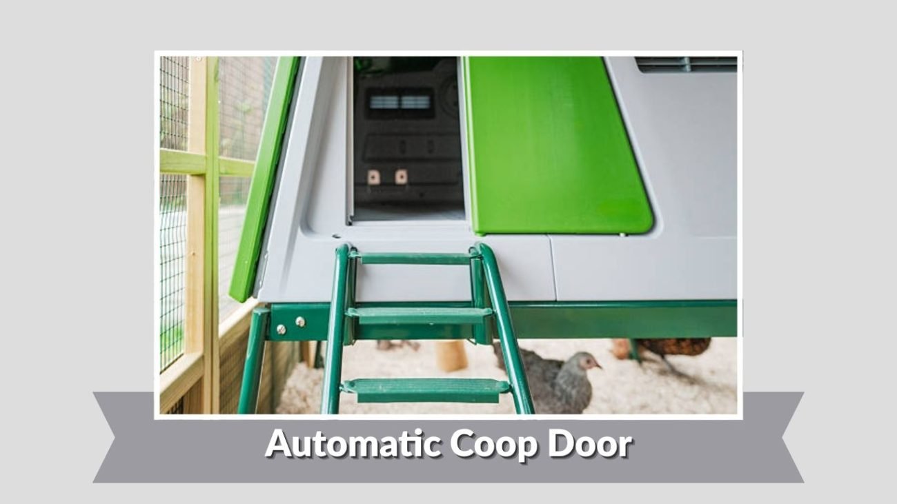 Automatic Coop Door
