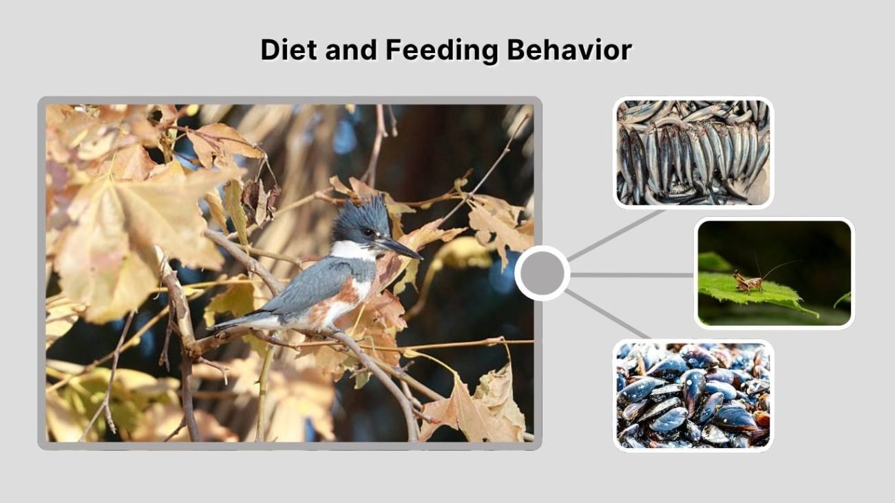 Diet and Feeding Behavior