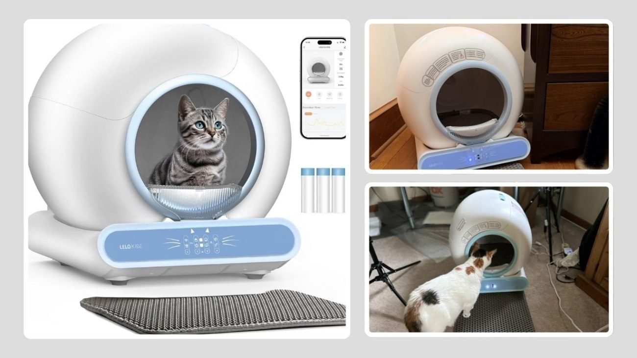 Automatic Self-Cleaning Litter Box with Integrated Control System