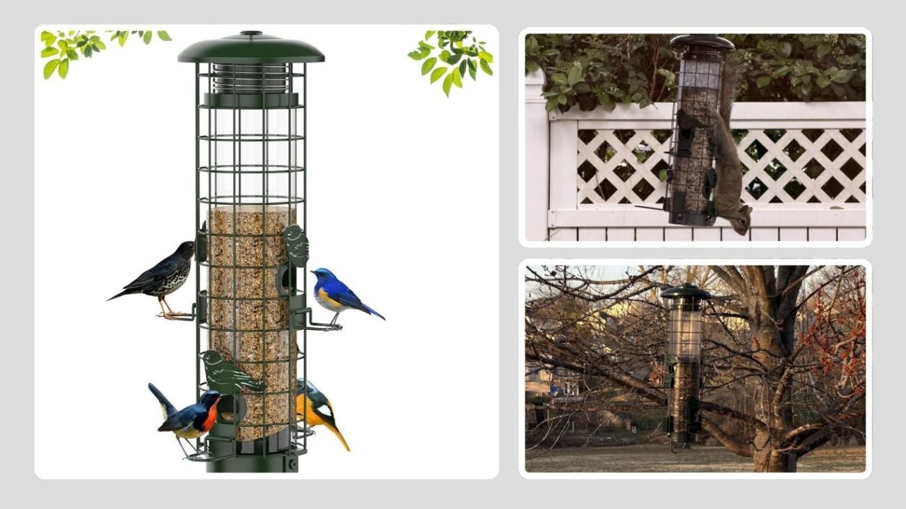 Squirrel-Proof Bird Feeder for Outdoors (Cardinal & Finch Friendly)