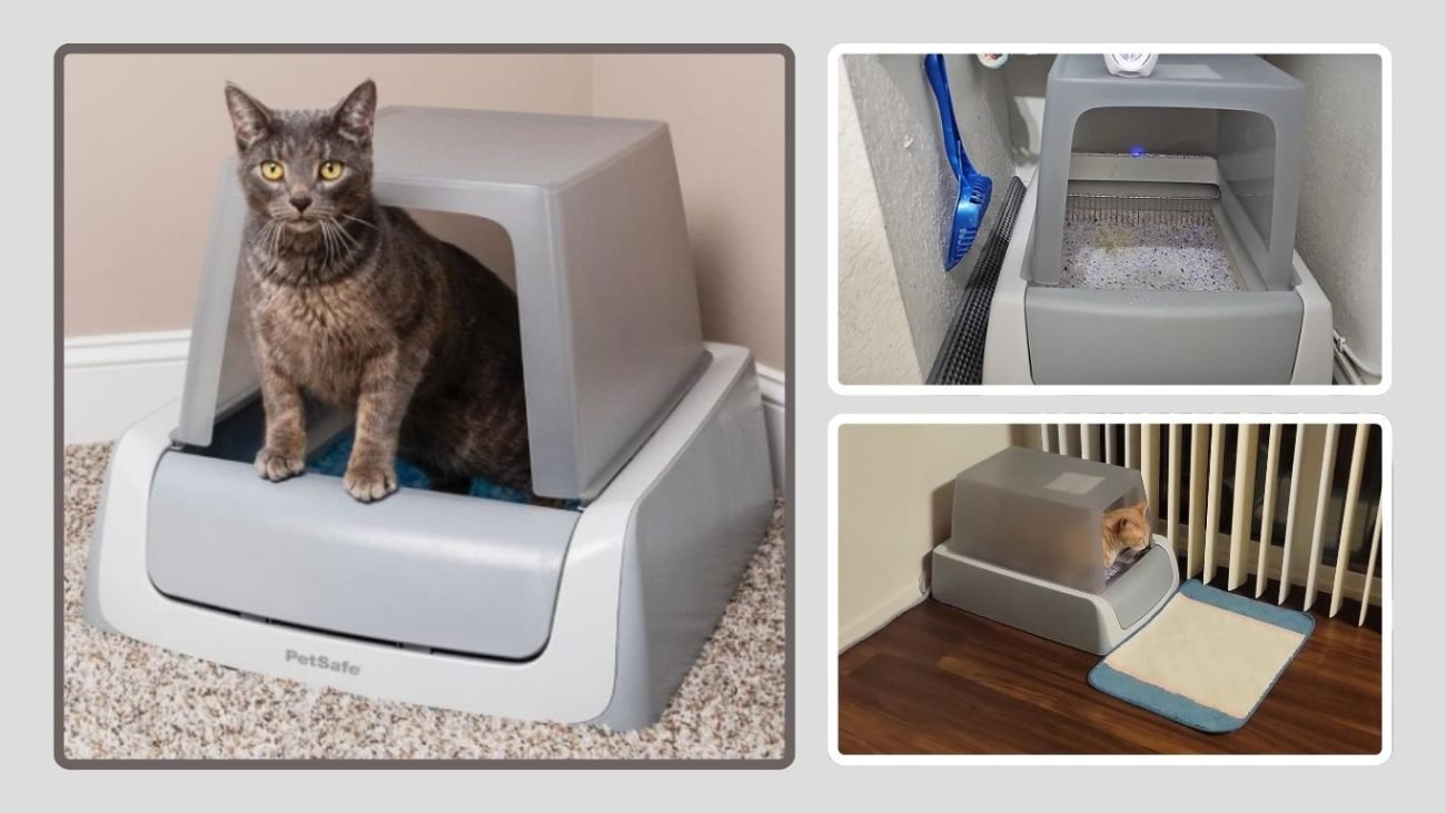 PetSafe ScoopFree Self-Cleaning Litter Box