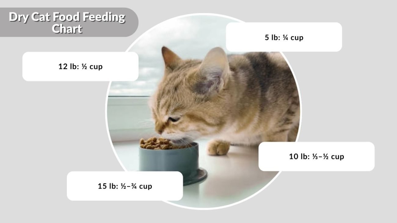 Dry Cat Food Feeding Chart