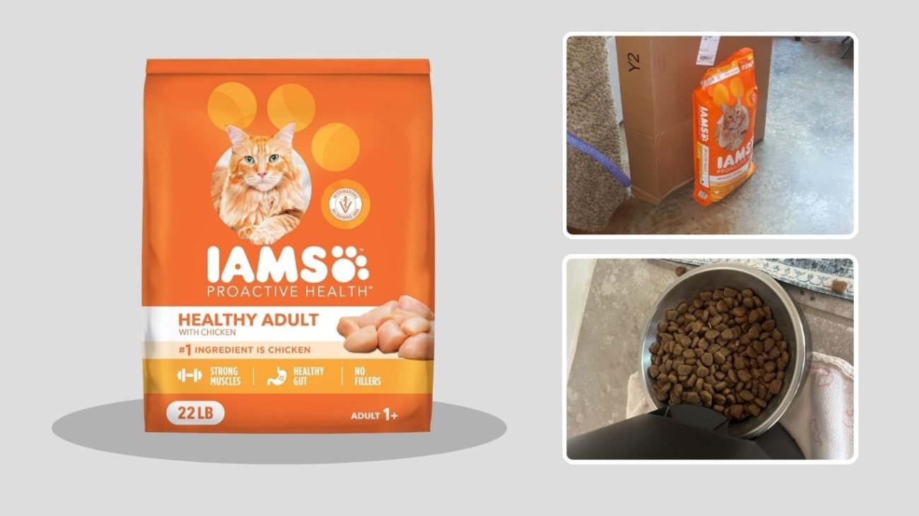 IAMS Proactive Health Healthy Adult Chicken Dry Cat Food