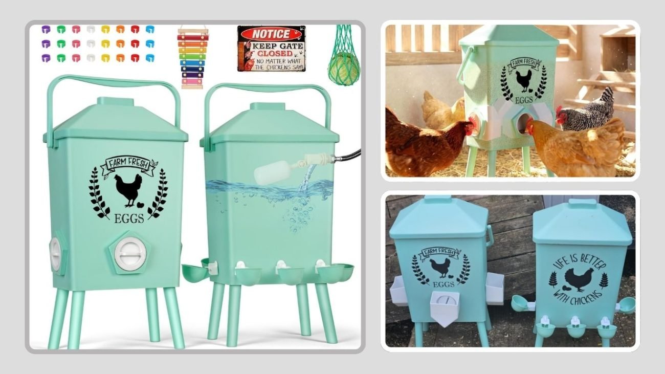 4.2 Gallon Gravity Chicken Feeder & Waterer