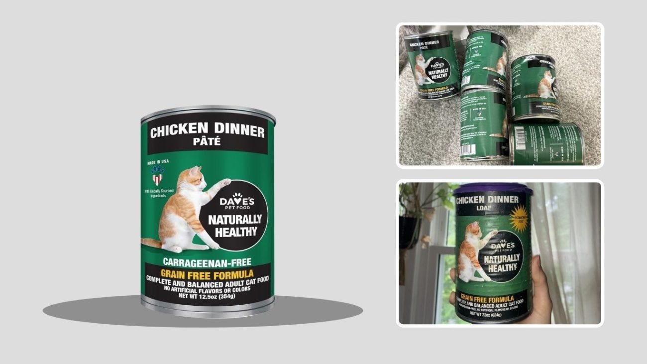 Dave’s Pet Food Naturally Healthy Chicken Formula Wet Cat Food