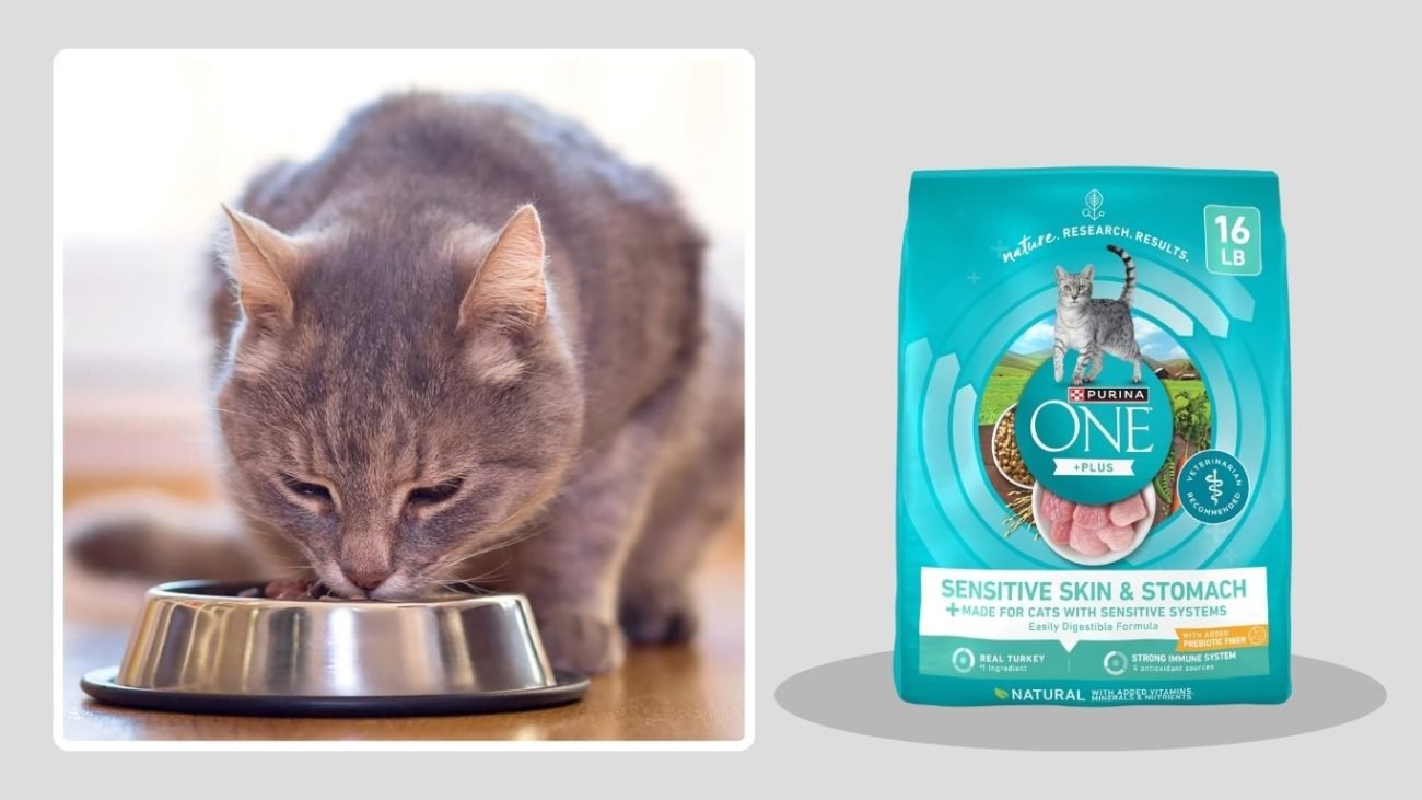 Purina ONE Sensitive Stomach & Skin Dry Cat Food