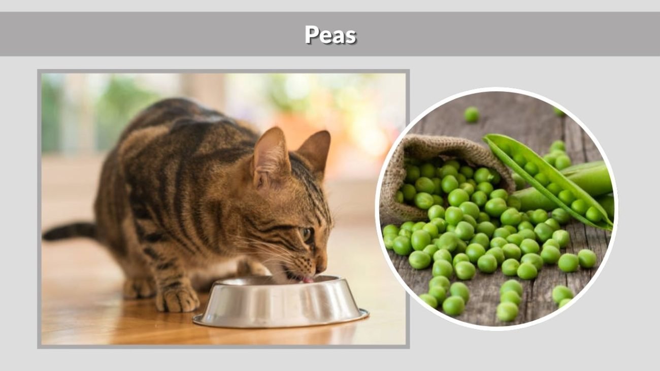 Peas