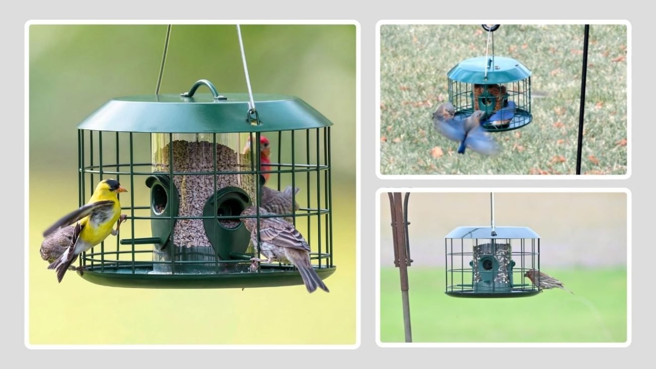 Kingsyard Squirrel-Proof Hanging Bird Feeder