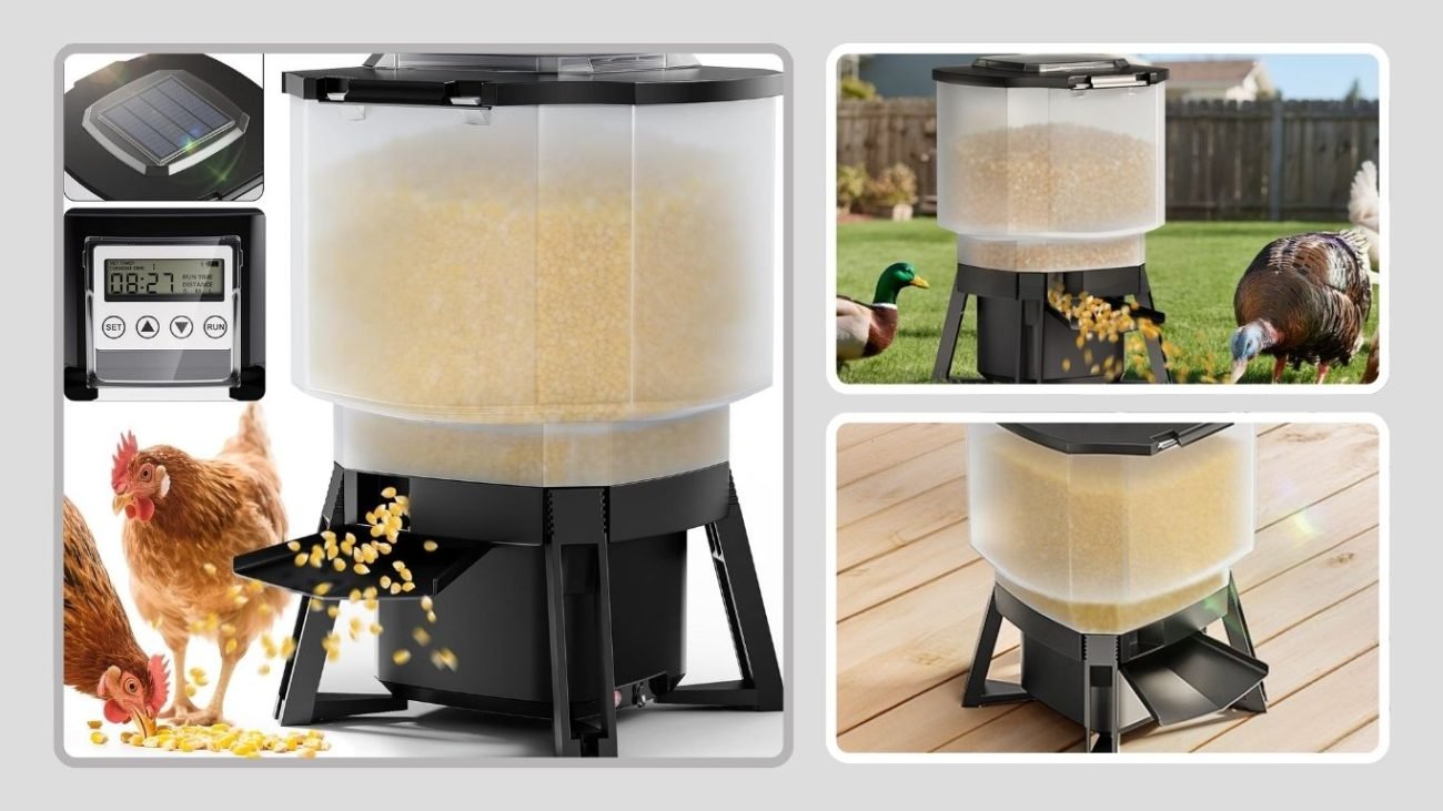 Automatic Chicken Feeder (Programmable Timer & Distance Control)