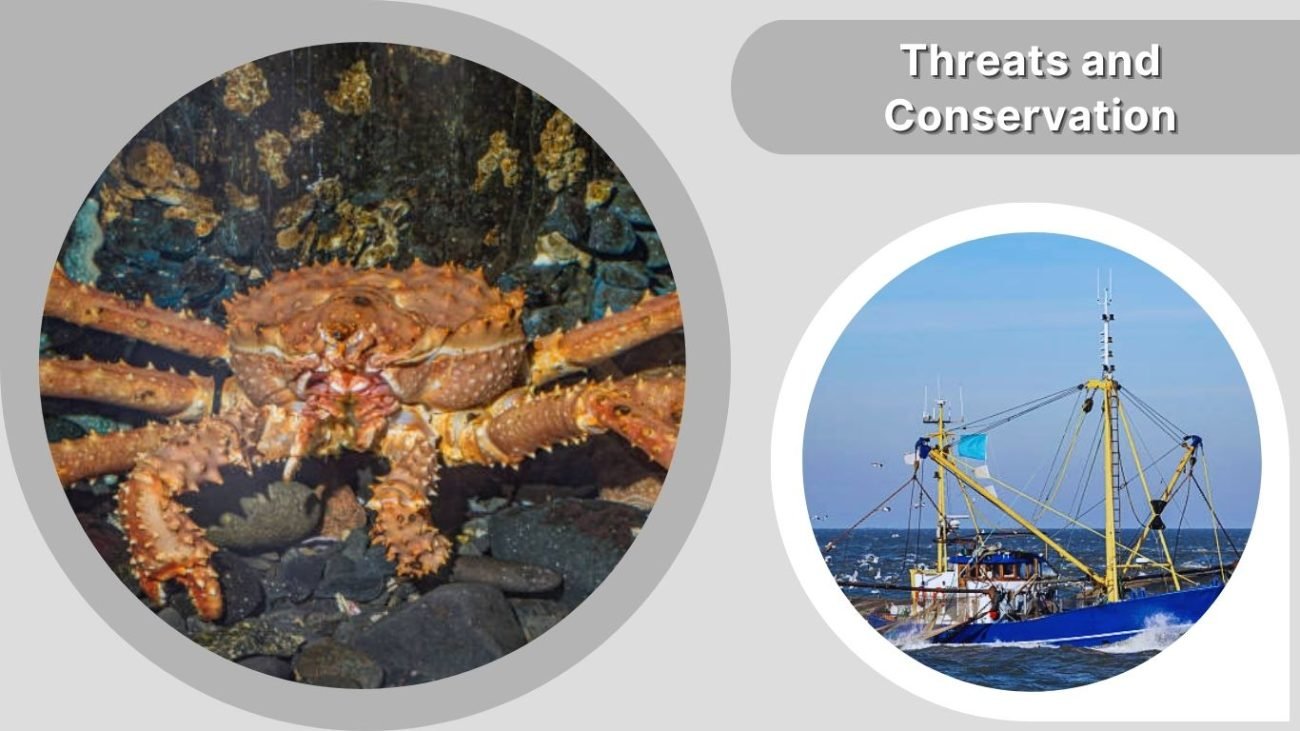 Threats and Conservation