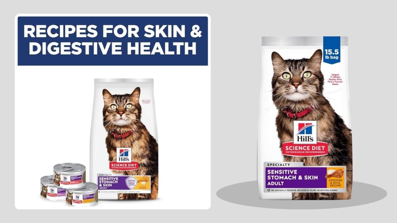 Hill’s Science Diet Sensitive Stomach & Skin Dry Cat Food (Salmon & Rice)
