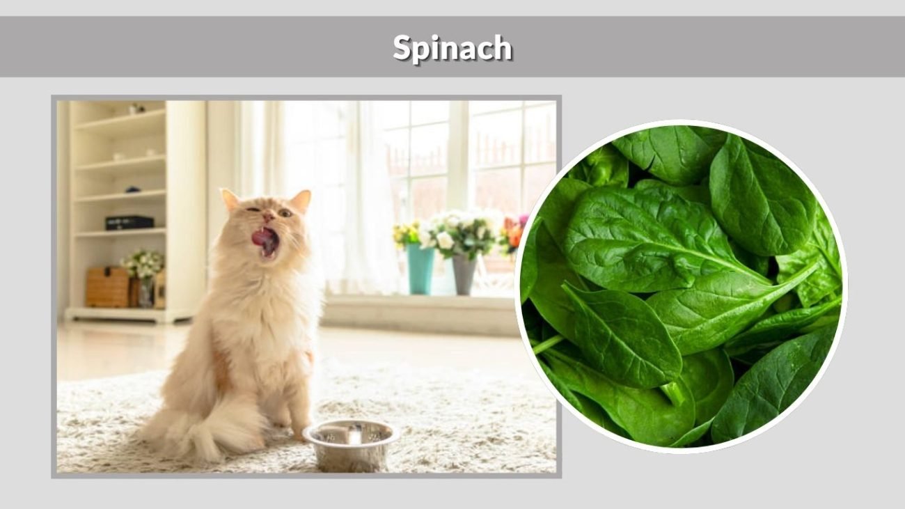 Spinach