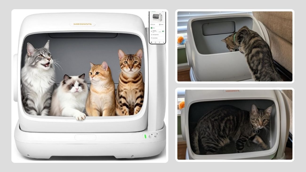 Self-Cleaning Extra Large Automatic Cat Litter Box