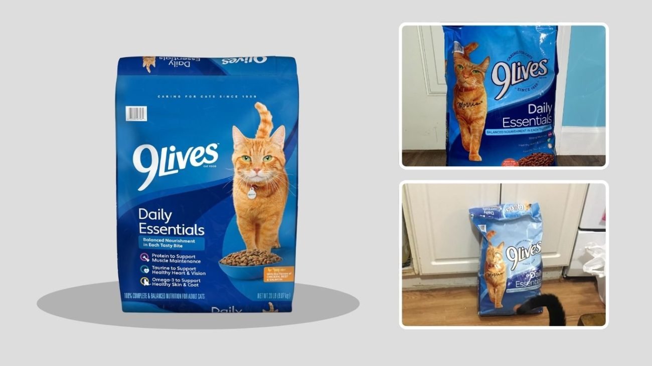 9Lives Daily Essentials Dry Cat Food