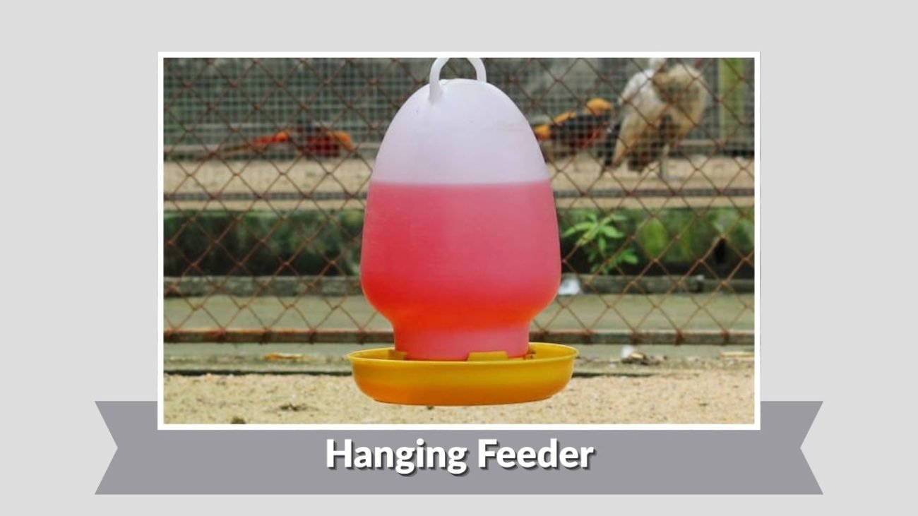 Hanging Feeder