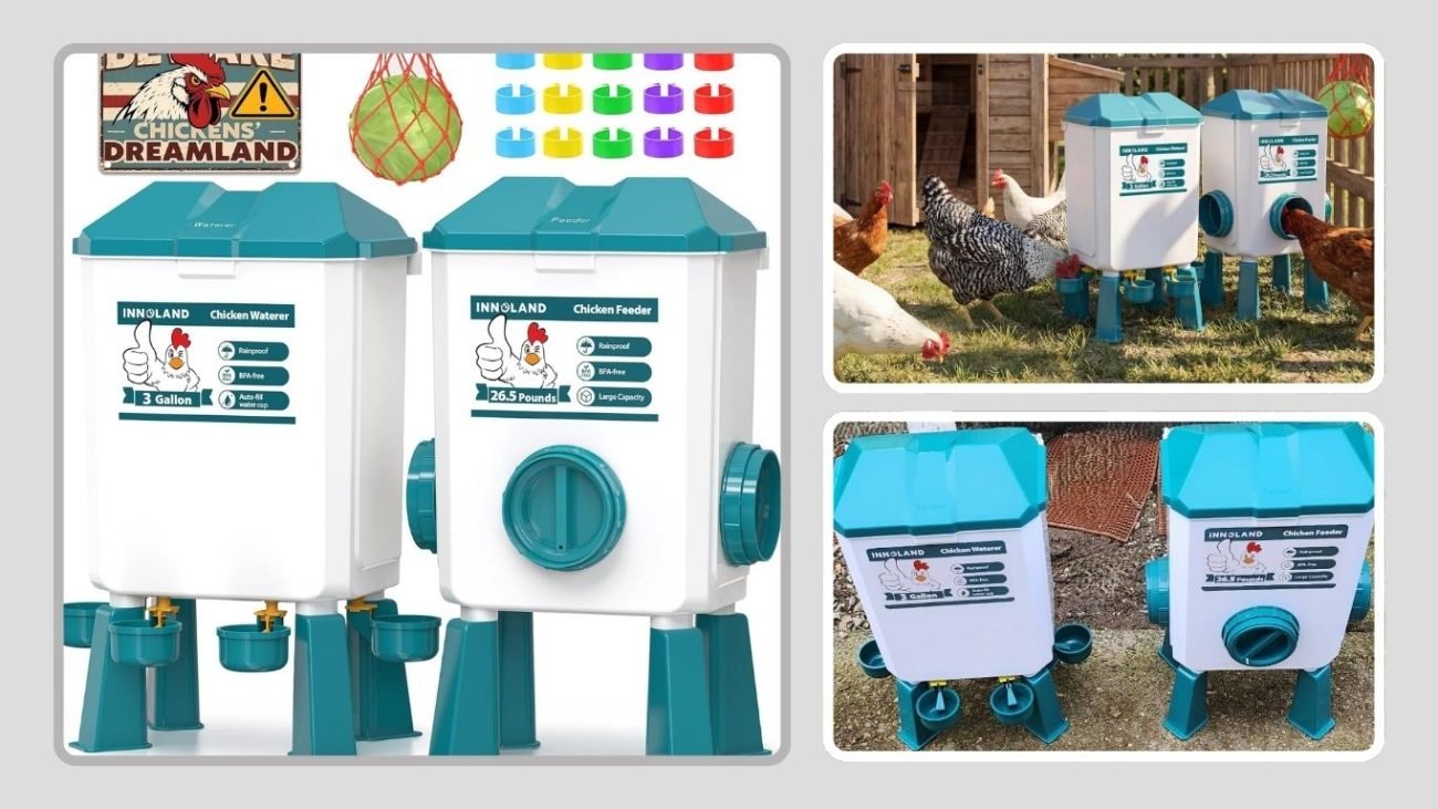 Chicken Feeder & Waterer Set with Accessories