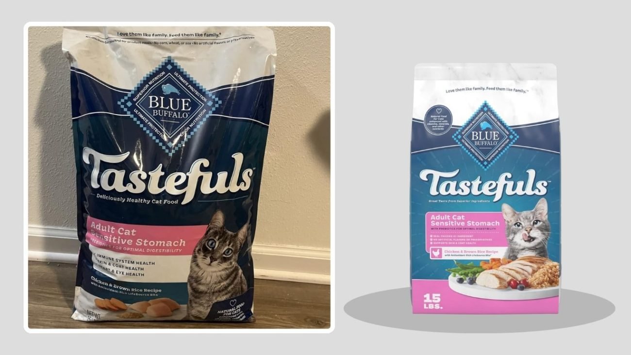 Blue Buffalo Sensitive Stomach Natural Dry Cat Food