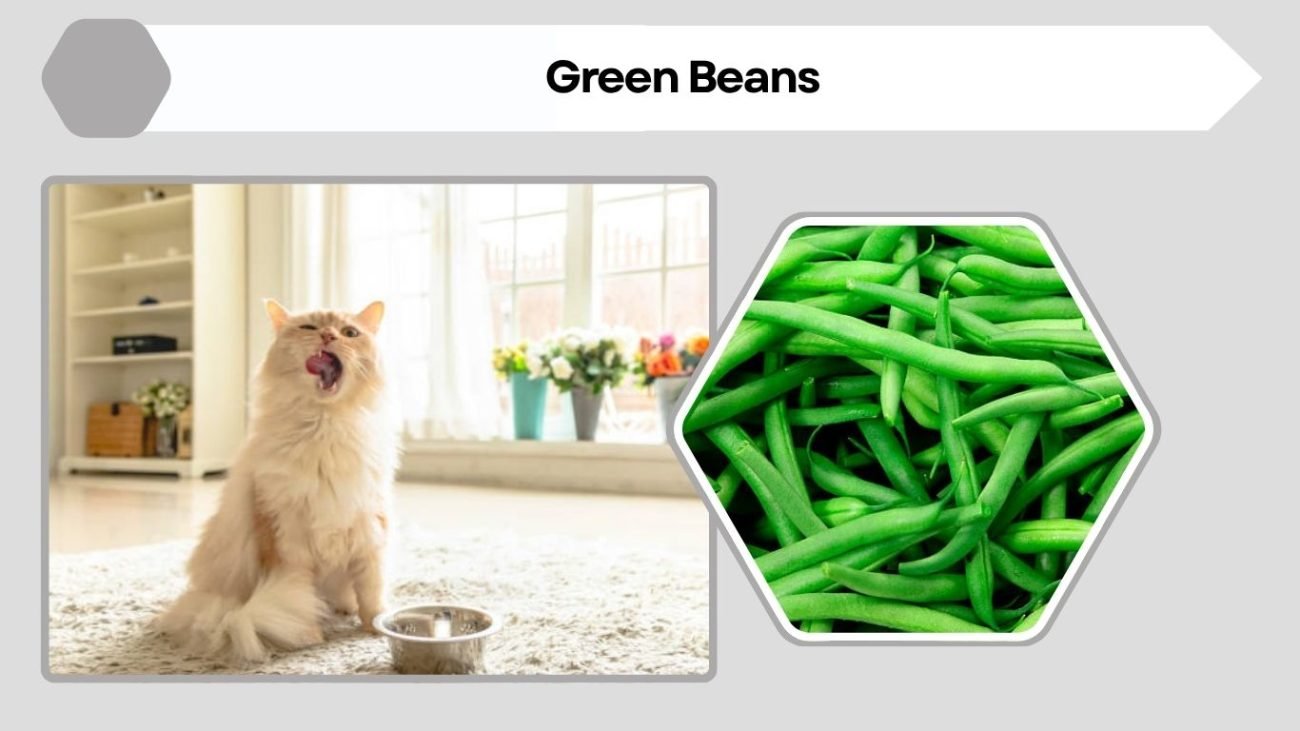 Green Beans