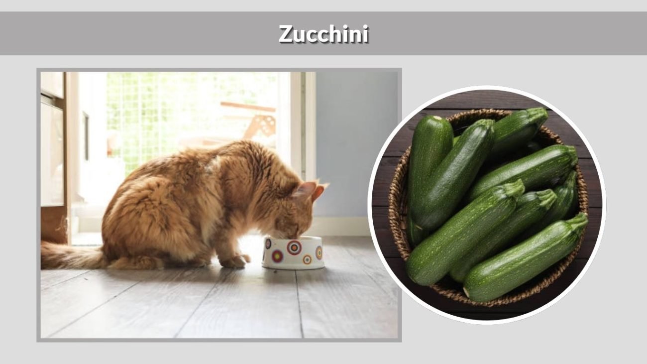 Zucchini
