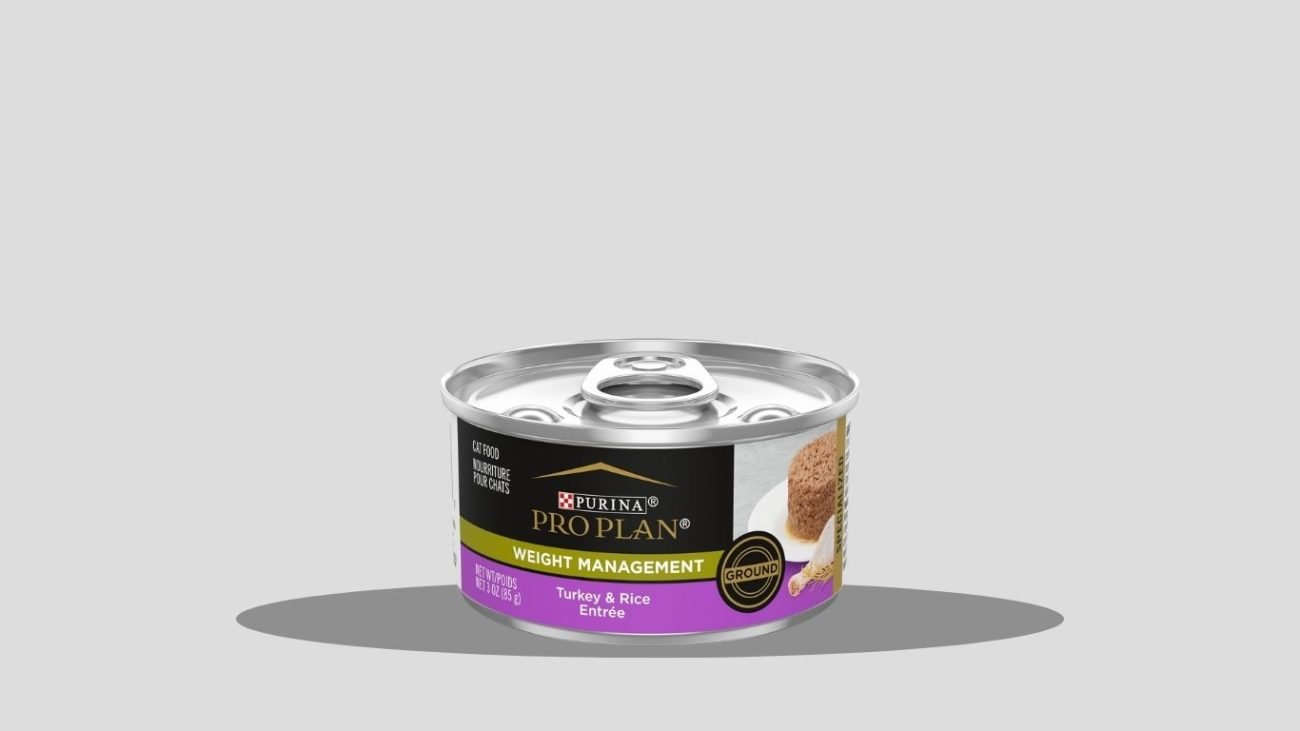 Iams ProActive Health Healthy Weight Wet Cat Food