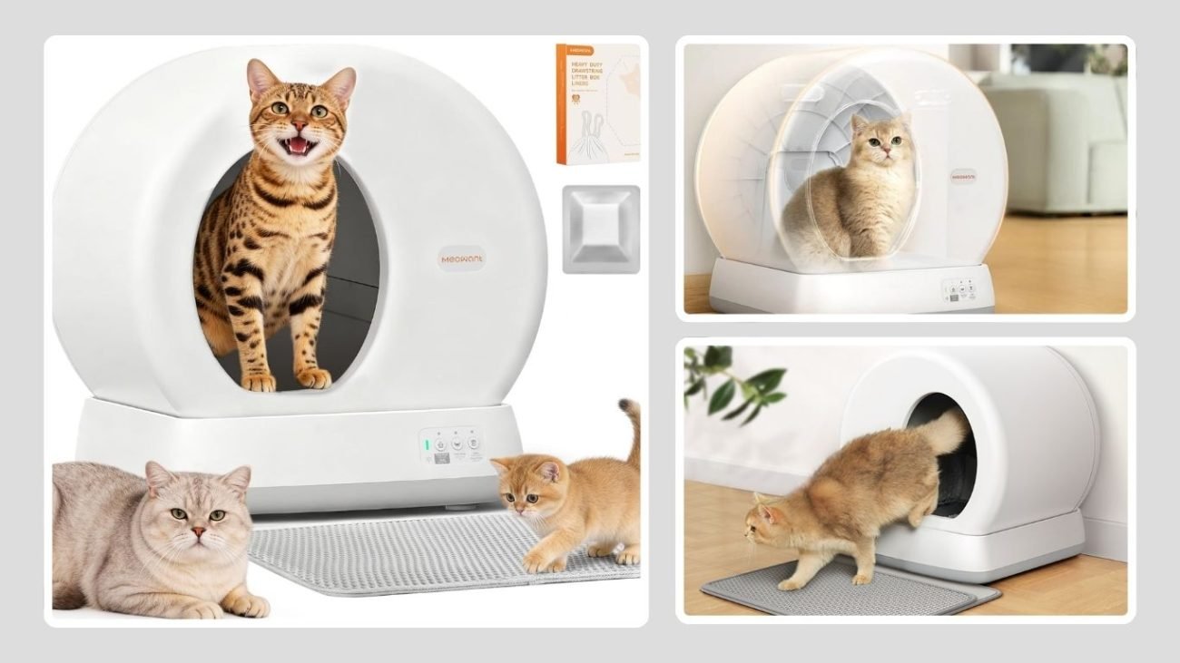 TOPNOTCH GENERAL Automatic Self-Cleaning Litter Box