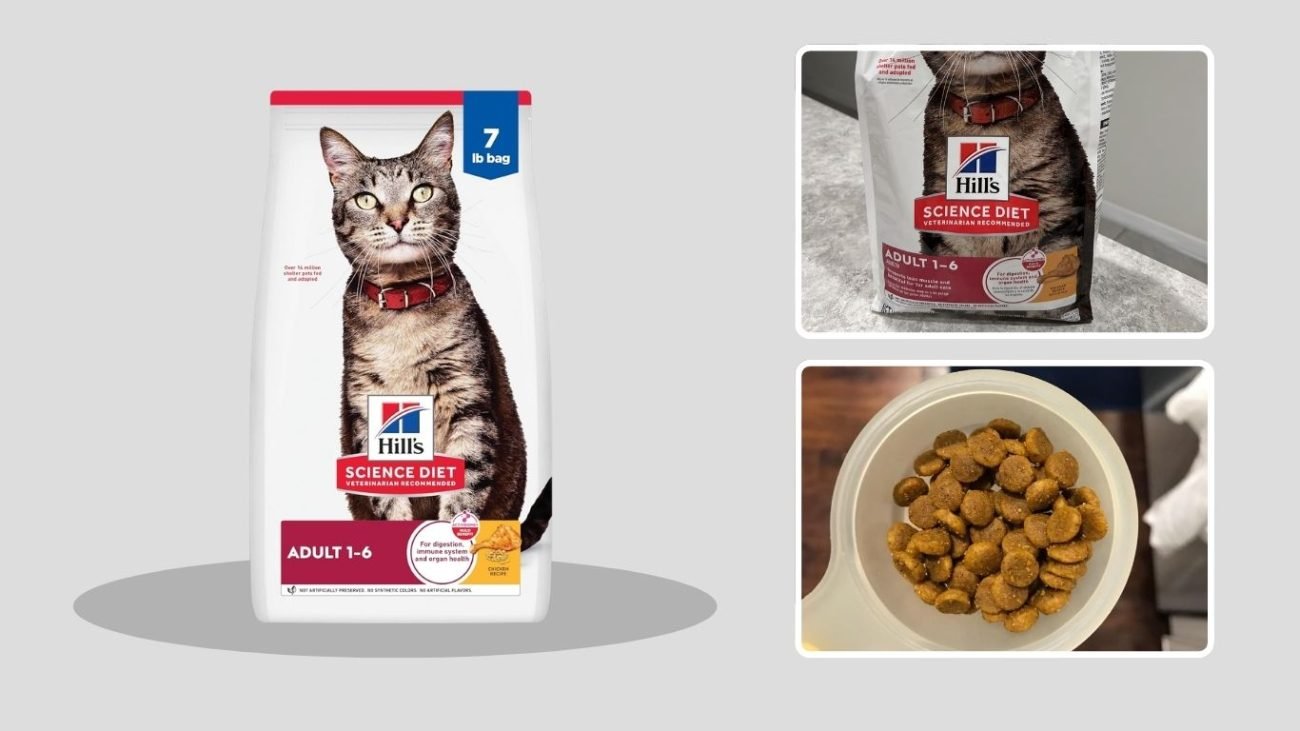 Hill’s Science Diet Adult Optimal Care Chicken Recipe Dry Cat Food
