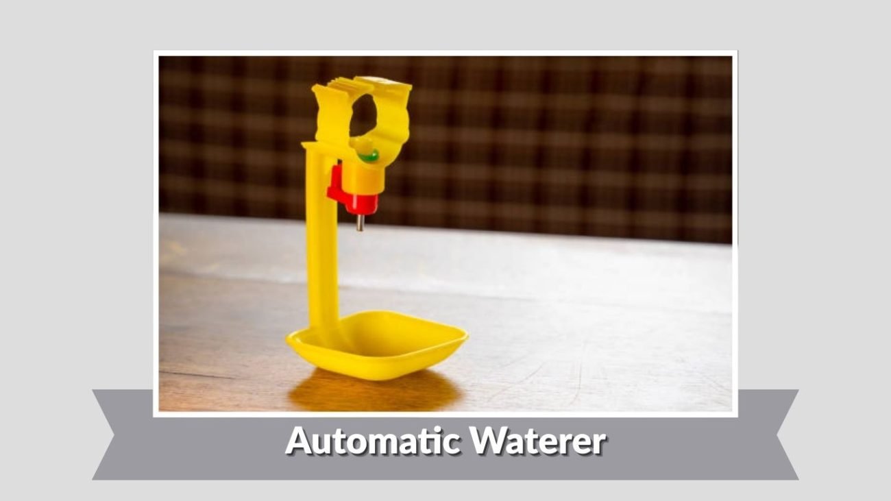 Automatic Waterer