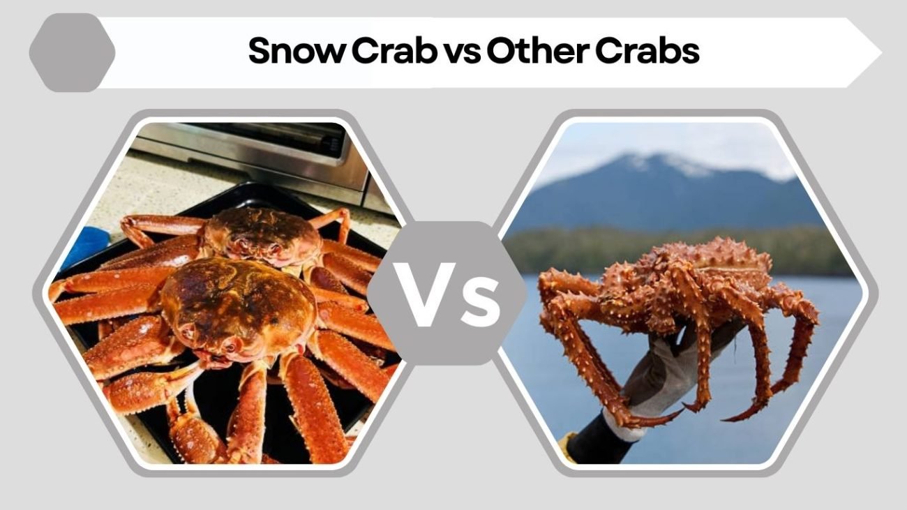 Snow Crab vs Other Crabs