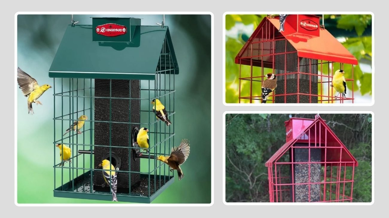 Kingsyard Weatherproof Finch Feeder