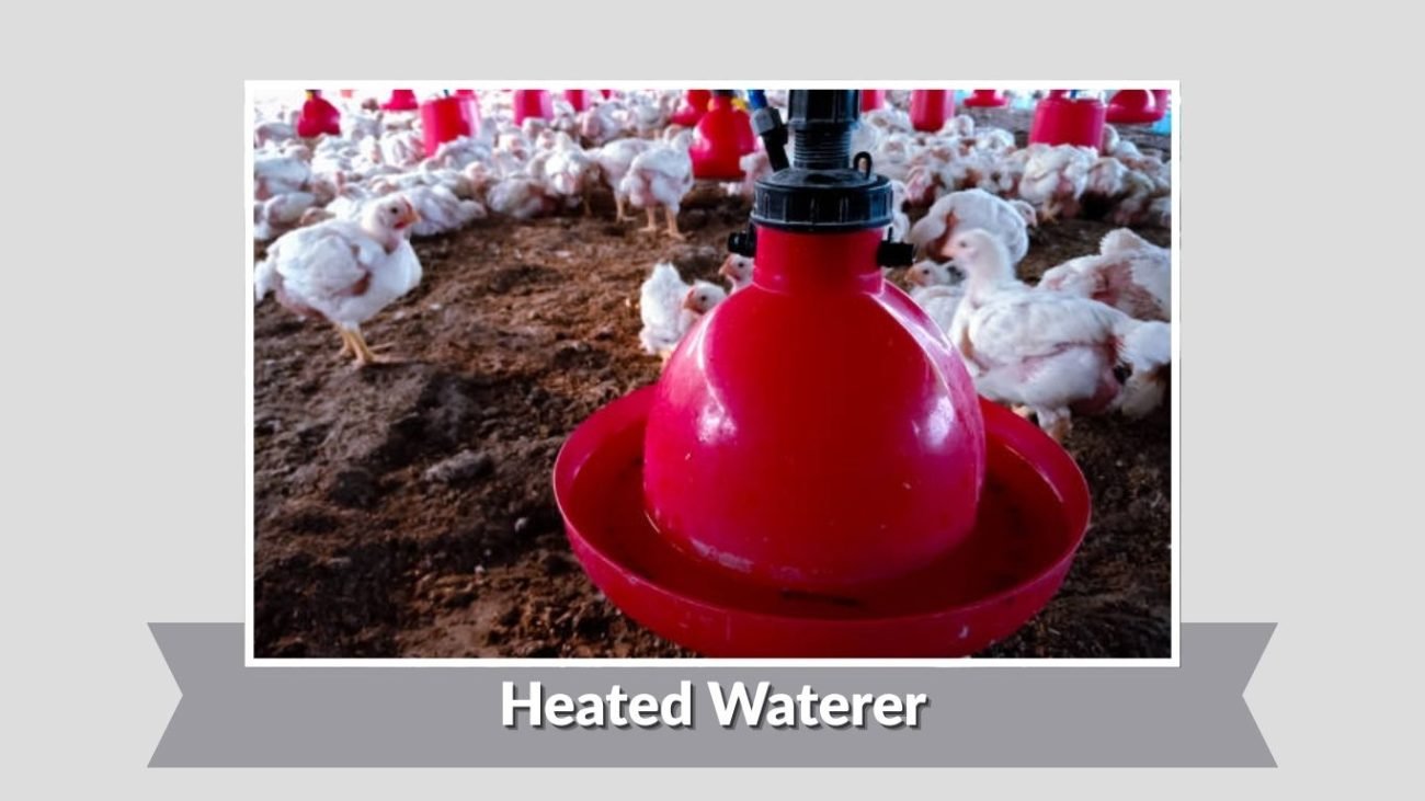 Heated Waterer