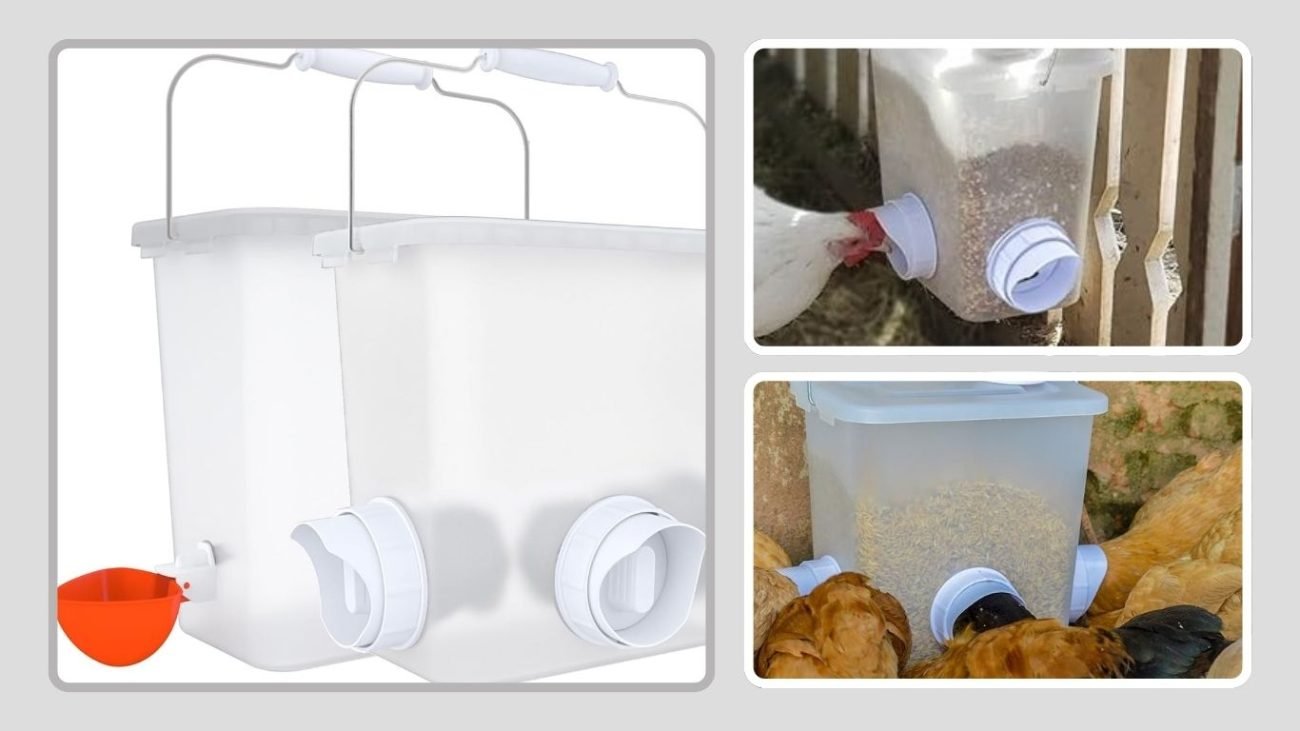 Automatic Chicken Waterer & Feeder Set for Poultry