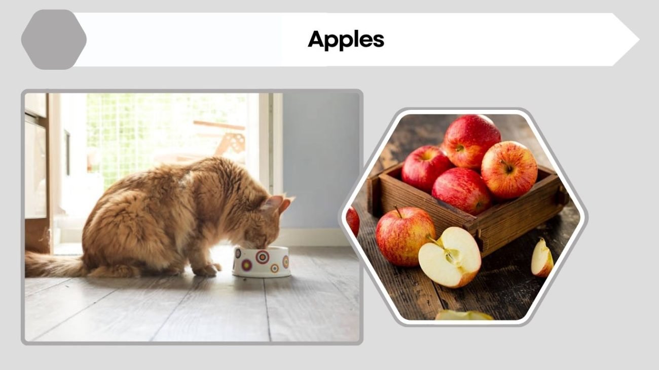Apples