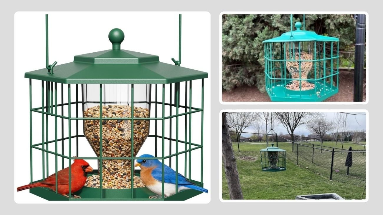 Birdream Squirrel-Proof Bird Feeder