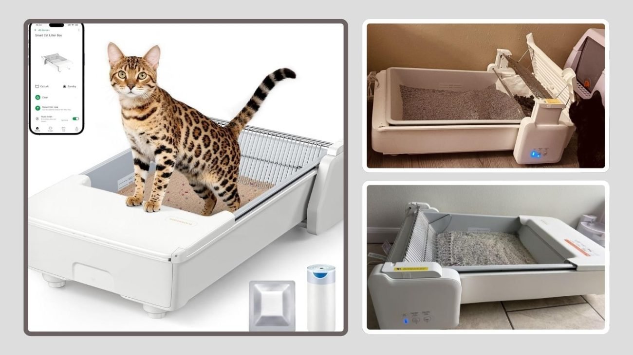 Meowant Automatic Self-Cleaning Cat Litter Box