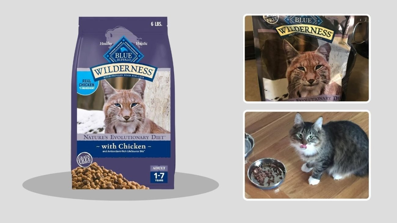 Blue Buffalo Wilderness High-Protein Grain-Free Salmon Dry Cat Food