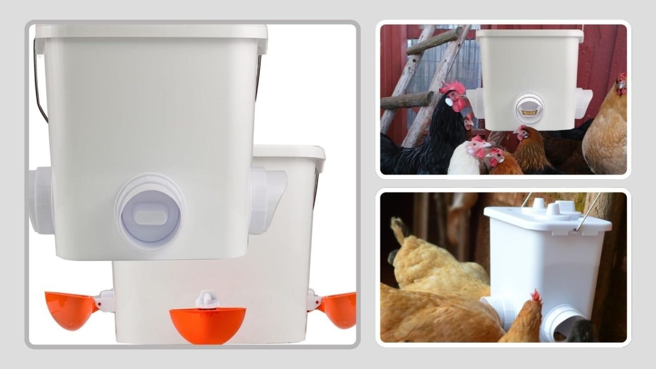 Automatic Hanging Chicken Waterer for Poultry