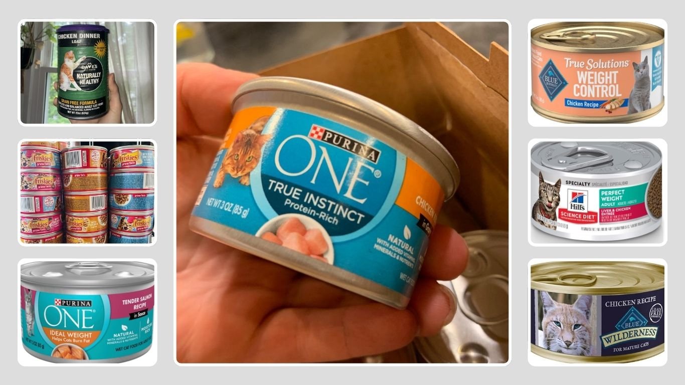 13 Best Healthy Wet Cat Food in 2026 (Vet-Recommended Picks)
