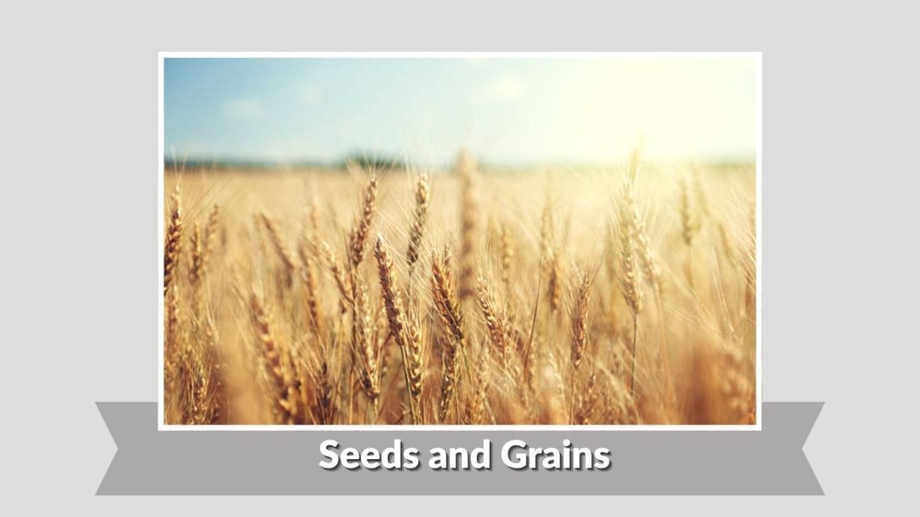 Seeds and Grains