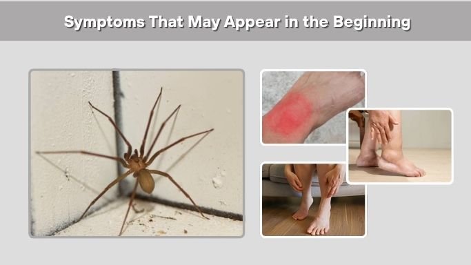 Symptoms That May Appear in the Beginning