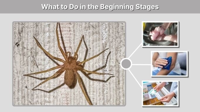 What to Do in the Beginning Stages