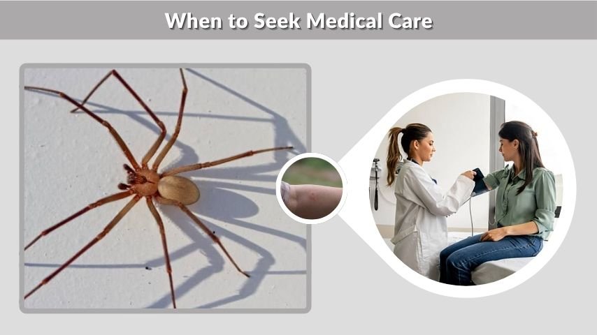 When to Seek Medical Care