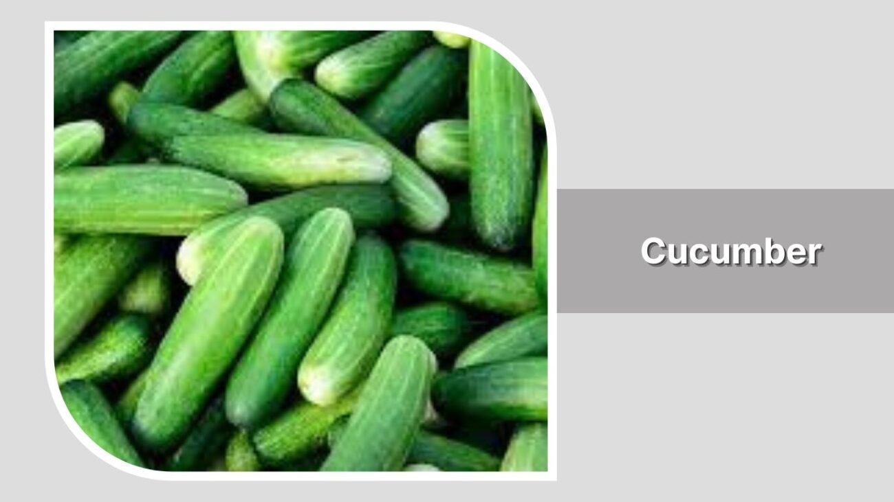 Cucumber