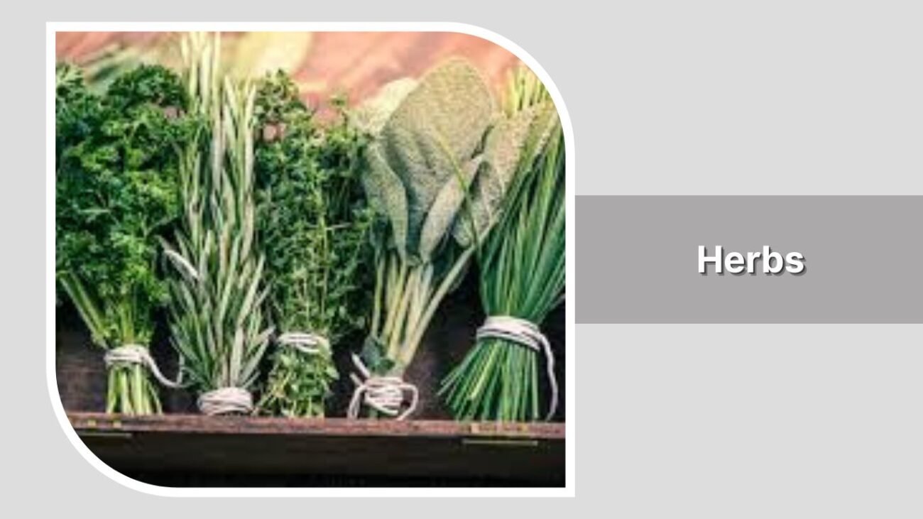 Herbs
