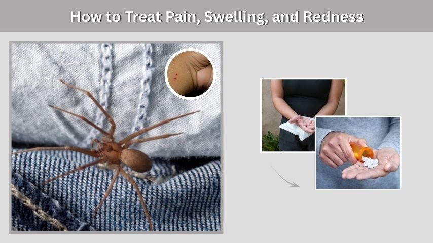 How to Treat Pain, Swelling, and Redness