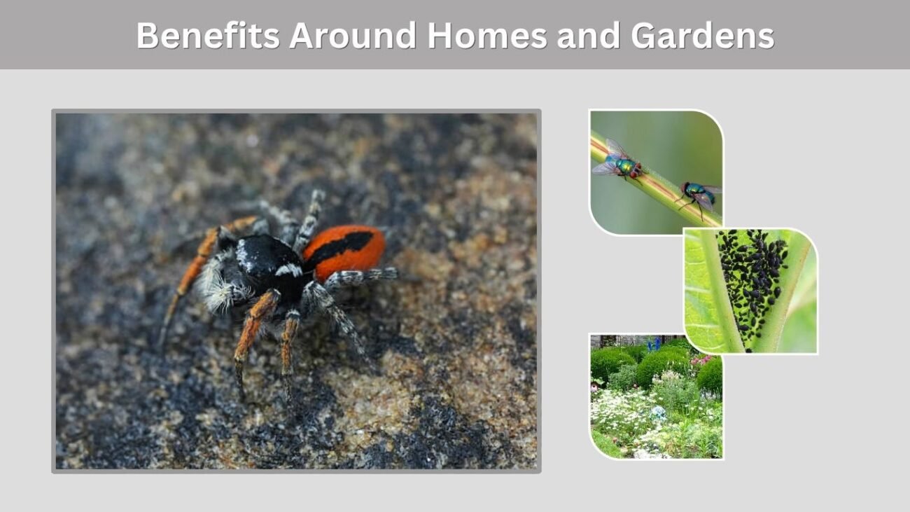 Benefits Around Homes and Gardens