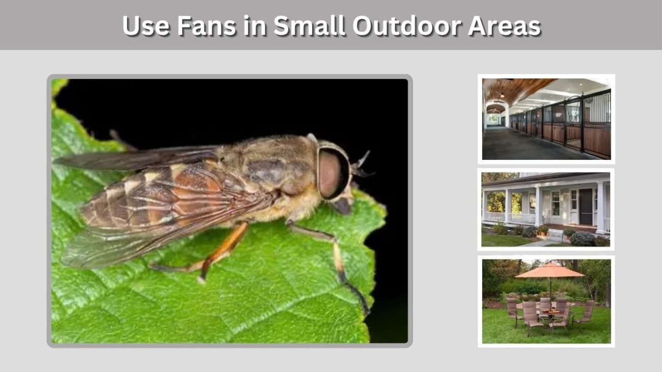 Use Fans in Small Outdoor Areas