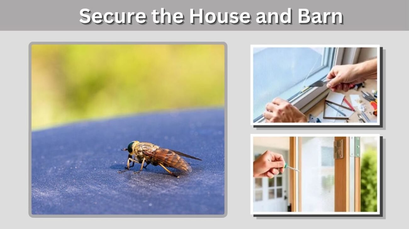 Secure the House and Barn
