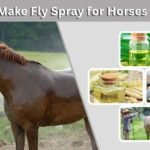 How to Make Fly Spray for Horses at Home