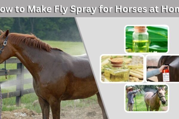 How to Make Fly Spray for Horses at Home
