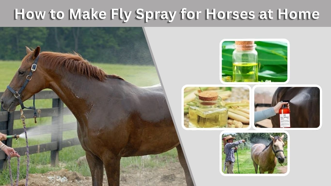 How to Make Fly Spray for Horses at Home